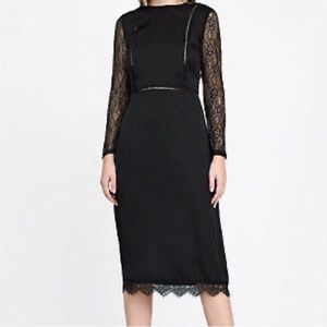 WOMENS ZARA BLACK LACE COCKTAIL DRESS. SEXY. Long sleeve. Small.